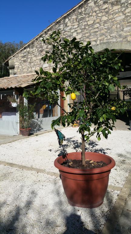 Le Clos Des Aramons Bernis Exterior photo