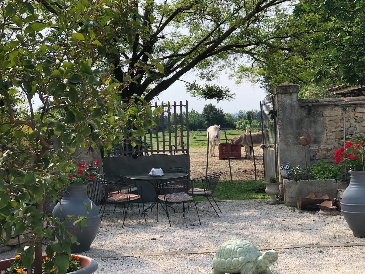 Le Clos Des Aramons Bernis Exterior photo